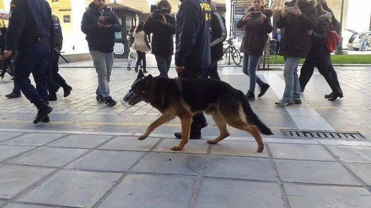 Με σκυλιά οι περιπολίες αστυνομικών στη Θεσσαλονίκη (video)